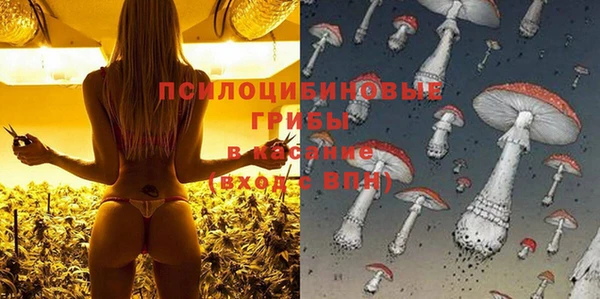 гидра Беломорск