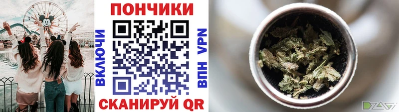Каннабис MAZAR Шимановск